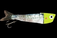 Click to view Pro-Troll Fishing